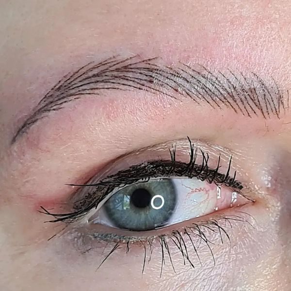 PMU Hyperrealisme Hairstroke wenkrbauwen